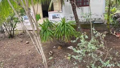 Cần bán nhanh đất thủ thừa long an | giá tốt (nay thuộc phường long an, tây ninh)