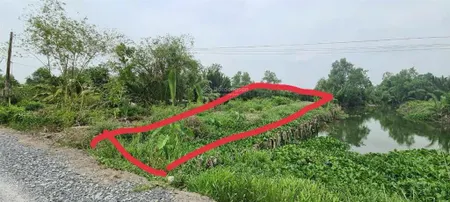 Bán đất trồng cây lâu năm tại ấp bà nghiệm, xã mỹ lạc, huyện thủ thừa, long an diện tích 973.4m2