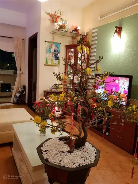 Cần bán chung cư khang phú diện tích 70m 2pn sổ hồng rồi giá 3,38 tỷ