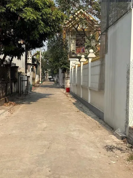 Bán đất 47,8m2 tại xã trung châu, đan phượng, hà nội, 2,85 tỷ
