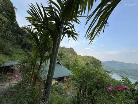 Gia đình cần tôi bán gấp mảnh view hồ hoà bình mảnh đất duy nhất còn sót lại giá rẻ nhất khu vực