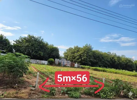 Mặt tiền đường huyện dh504 32m thích hợp đầu tư kinh doanh xây trọ 280m2 620tr bao phí