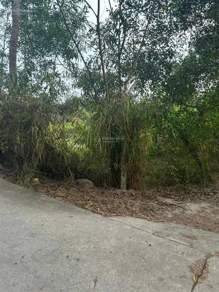 21x61(1305m2) hẻm nguyễn du tân phước lagi gần biển giá 1.350 tỷ