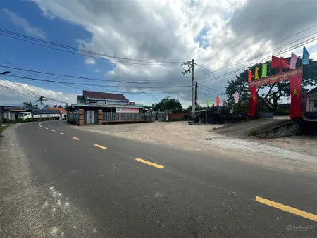 Bán lô đất 207m2 cát tân phù cát. đường nhựa liên huyện. sổ sẵn. sát sân bay, khu dân cư đông đúc