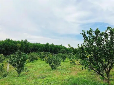 Bán 6.567m² đất tại khánh đông, khánh vĩnh, ngay khu dân cư, lập vườn, nghỉ dưỡng, giá siêu rẻ 2tỷ3