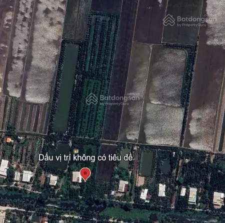 Bán đất vườn đang trồng mít, diện tích 8000m2 thuận lợi làm trang trại. đất có 12m mặt tiền