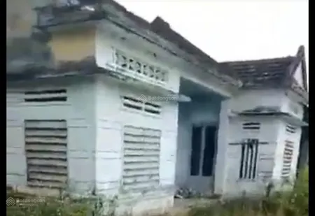 Đất ở tại nông thôn 400m2, đất trồng cây lâu năm hàng năm khác 734,2 m2, đất ở lâu dài