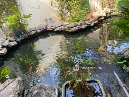 Bán hạ giá biệt thự bán đảo linh đàm 203m2 mt 14m 75 tỷ căn góc view hồ