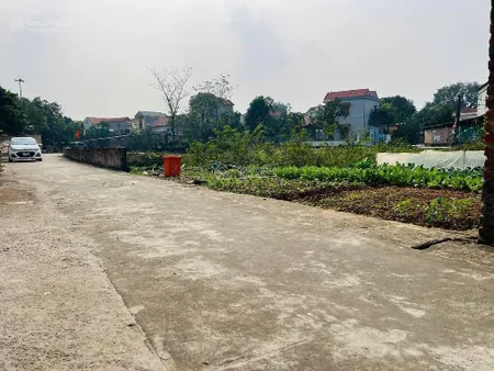Chính chủ gửi bán 103 m đại tảo ,xuân giang, sóc sơn cũ nay thuộc xã đa phúc