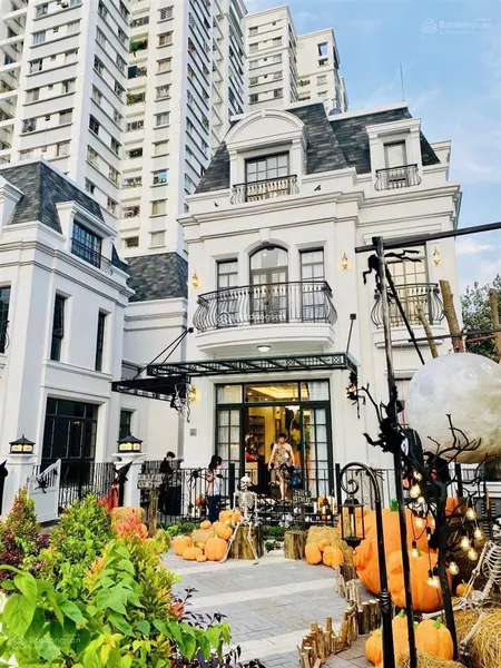 Chính chủ cần tiền giảm 3 tỷ bán nhanh căn biệt thự song lập amelie villa giá chỉ 22 tỷ