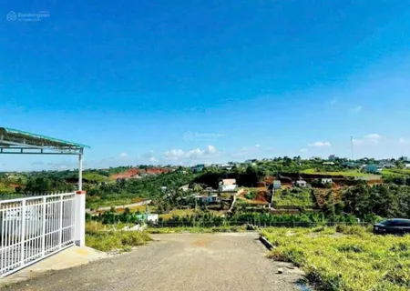 Cần bán gấp xã hoà bắc, di linh, lâm đồng, giá tốt 1,35 tỷ