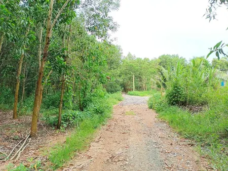 Bán 4 hecta đất làm trang trại chăn nuôi gần trung tâm huyện khánh vĩnh, khánh hoà giá rẻ