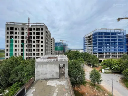 Bán đất đấu giá bạch đa kim hoa mê linh hà nội