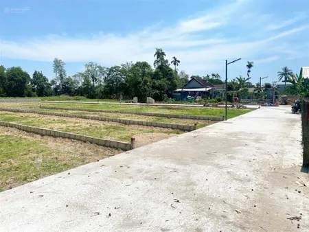 Còn nền cuối an đô hương chữ, 480 triệu