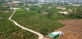 Đất tân văn diện tích đẹp, khí hậu mát mẻ