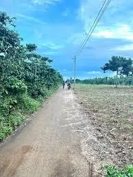 Bán đất tân văn vuông đẹp, sổ riêng, dễ giao dịch