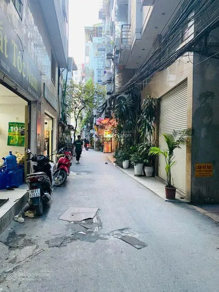 Bán gấp lương thế vinh thanh xuân phân lô bàn cờ cho cán bộ, ngõ thông 10m ra ô tô tránh đỗ