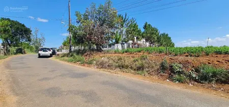 Bán đất tại xã hoà bắc, di linh, lâm đồng, giá tốt chỉ với 1,15 tỷ, 102 m2