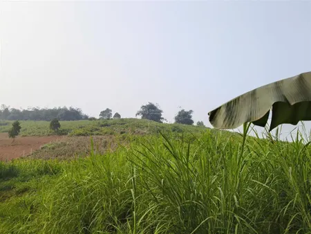 Lô đất ba vì thích hợp đầu tưxây dựng khuân viên nghỉ dưỡngthế đất thoải nhẹkhông khí trong lành