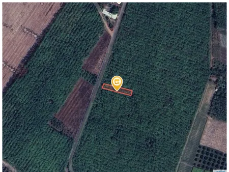 Bán đất 600m² có sẵn 70m² thổ cư ngang 10m giá 1.65 tỷ tại Xã Cầu Khởi