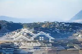 Cho Thuê Siêu Phẩm Tại đà Lạt Diện Tích 15.000m2