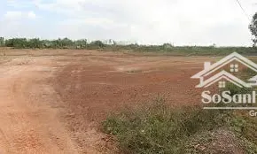 Chính Chủ Cho Thuê đất Trồng Cây Tại đà Lạt