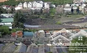Chính Chủ Cho Thuê Nhà Kính Tại Lâm đồng