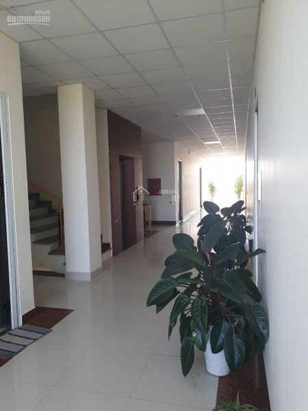 Cho thuê văn phòng tại lô 06 Đại Lộ Võ Nguyên Giáp, P. Hạc Thành, TP Thanh Hóa. Lh: 0825668879