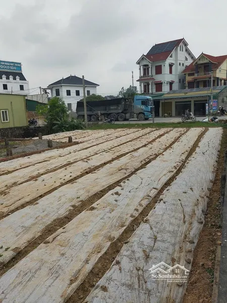 Cho Thuê đất Gần 600m² Gần Quốc Lộ 7a Nghệ An