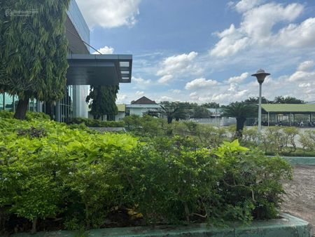 Nhà xưởng cho thuê Bến Lức, Long An cũ, mới Tây Ninh DT: 30,000m2 (3ha)