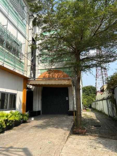 Kho & văn phòng mặt tiền Trần Đại Nghĩa 2.350m2 gần vòng xoay An Lạc