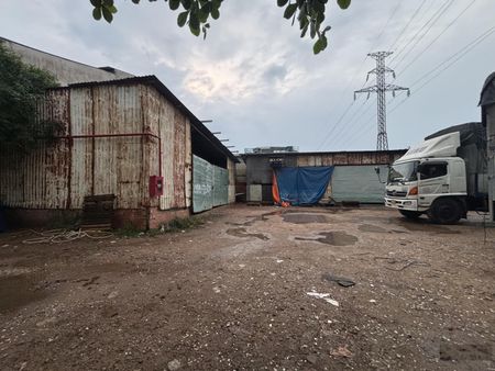Cho thuê 1000mv đất, hđ 5 năm- Chỉ 55tr