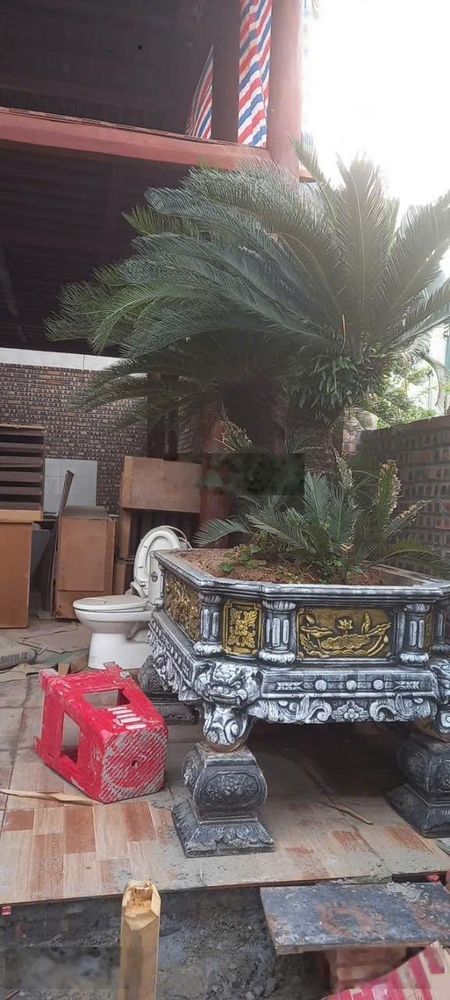Cho thuê nhà Phủ Lý Hà Nam, nhà gỗ 3 gian ngay trung tâm Phủ Lý gần bệnh viện Bạch Mai