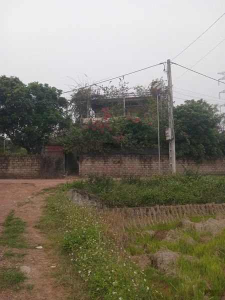 Cho thuê nhà riêng dài hạn, không gian rộng, 3 mặt thoáng tại xã Bảo Đài, giá tốt