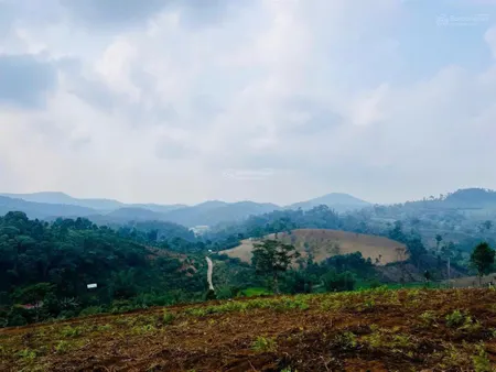 Bán 5.000m² đất view săn mây làng du lịch kon chênh cách trung tâm măng đen 5km