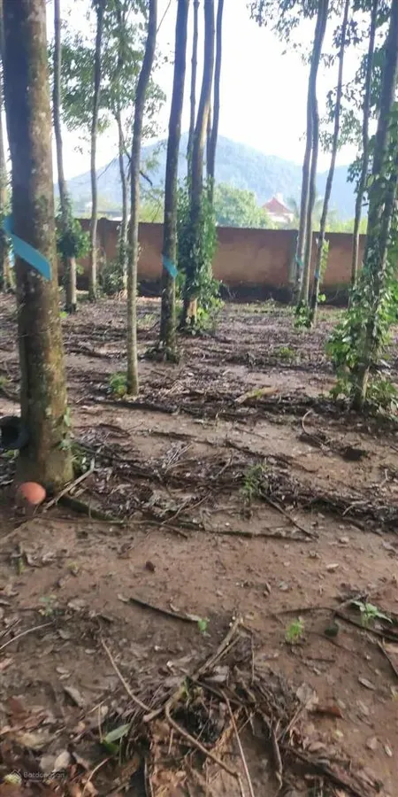 Chính chủ cần tiền bán gấp nhanh lô đất thổ cư 1.380m2, 23mx60m, giá chỉ 2 tỷ 3.