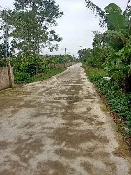 Bán đất quảng ngọc, thanh hóa