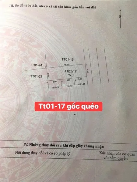 Đấu giá gốc quéo hồng dương thanh oai. lô đất tt1 34 diện tích 75m2