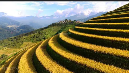 Cần bán đất thổ cư ngay cổng topas ecolodge sa pa lào cai