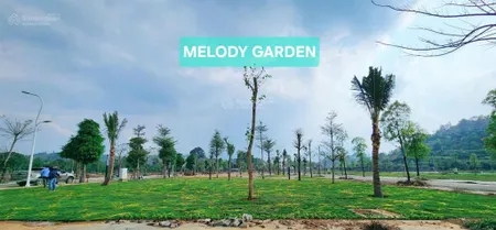 Muabán ký gửi biệt thự, liền kề tại phương đông 2,45 tỷ, 105 m2, hướng nam, mặt tiền 6m