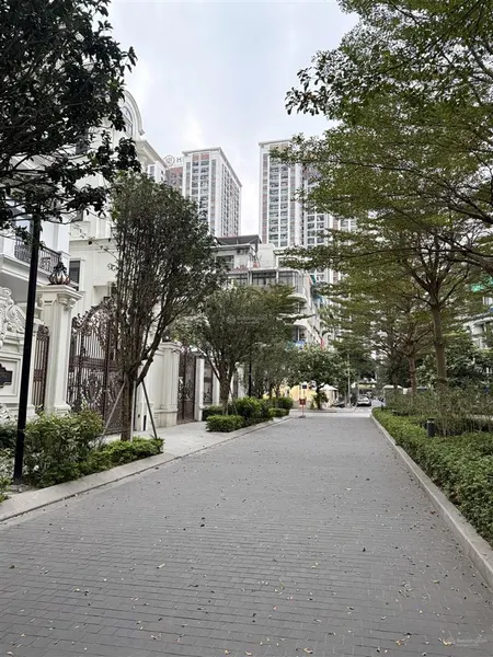 Biệt phủ the zei đường đôi nội khu 266m2 5 tầng 1 hầm, ở yên tĩnh sổ đỏ đẹp, giá thương lượng