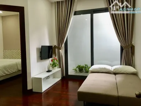 Căn hộ 1PN 40m2 ngay Nowzone Quận 1, Full Nội thất cao cấp