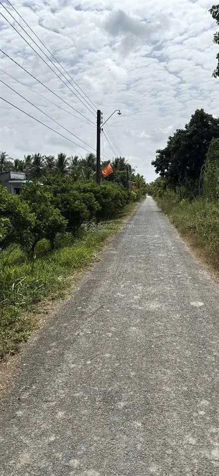 Bán đất 1400m2 ấp chợ, phước hưng, trà cú, trà vinh