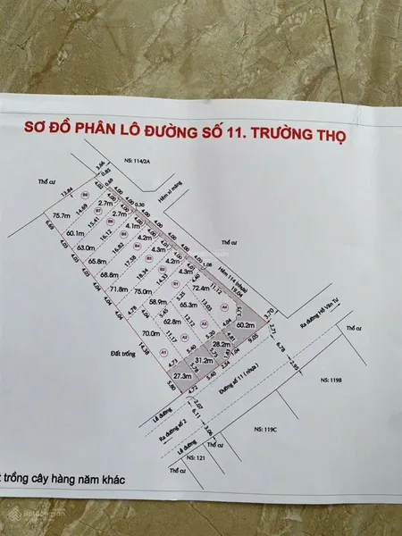 Chủ cần bán gấp đất hẻm 1/ đường 11 trung tâm trường thọ giá 6 tỷ sẵn sổ