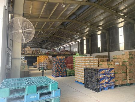 Cho thuê kho vip 250m2 & 560m2 mặt tiền đường Tân Thành, P. Phú Thạnh, Q. Tân Phú