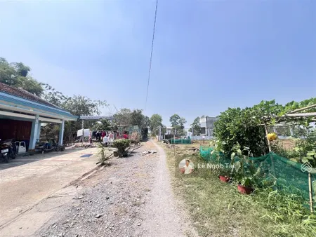 Đất hoà khánh đông 5x50m full thổ giá 890tr
