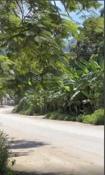 Cần bán gấp lô đất giảm 2 tỷ diện tích 2300m2, lô đất đẹp đường 20m phường đông sơn, bỉm sơn