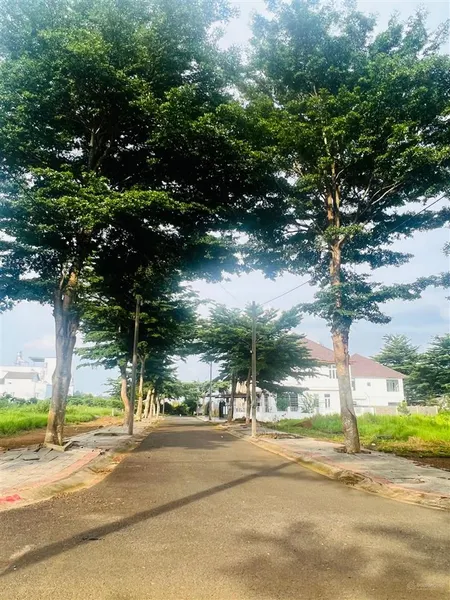 4 tỷ cho lô biệt thự trung tâm bảo lộc (đất 350m2 full thổ, 15x24m)