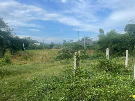 Bán Lô đất đẹp sát Suối Cau, Xã Khánh Đông, Huyện Khánh Vĩnh
