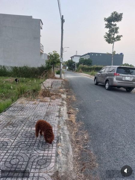 Đất nền đã có sổ, tiện xây mới